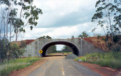 390 tonne vehicle haulroad - highway overpass nearing completion